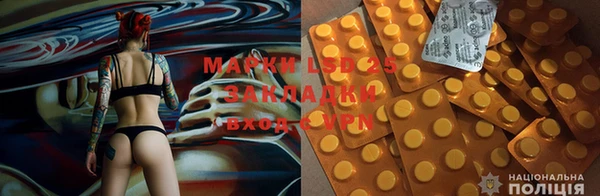стаф Аркадак