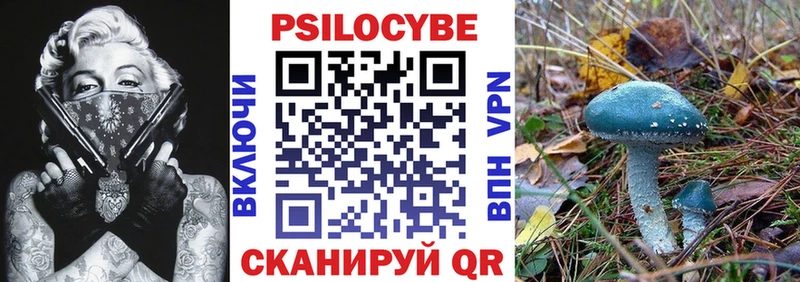 Псилоцибиновые грибы Psilocybine cubensis  Купить  Никольск 